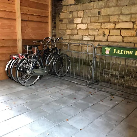 Jeanneke Bosch 赫尤尔上的斯琴